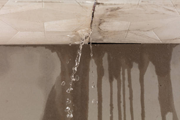Professional Water Damage Repair technician working in Wilmington, MA